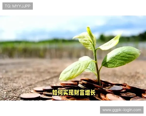 一本万利网上娱乐：如何利用网络平台实现财富快速增长