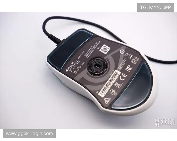 新濠国际娱乐：多平台兼容性设计带来的便捷操作体验分析